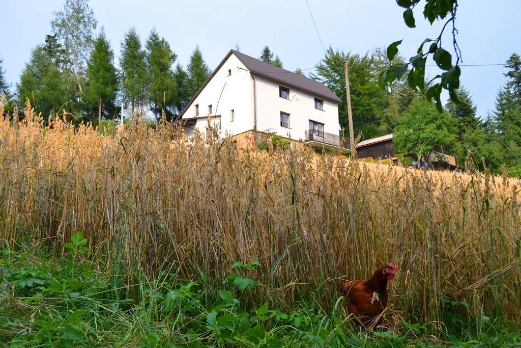 Kwatera Pod Lasem Istebna Exterior foto